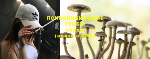 MESCALINE Коряжма