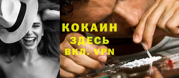 гидра Аркадак